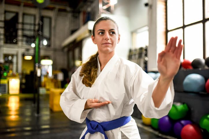 Martial Arts Software